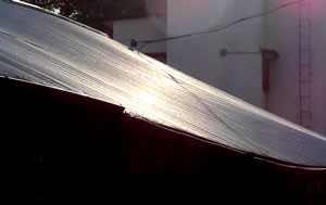 shining roof.jpg